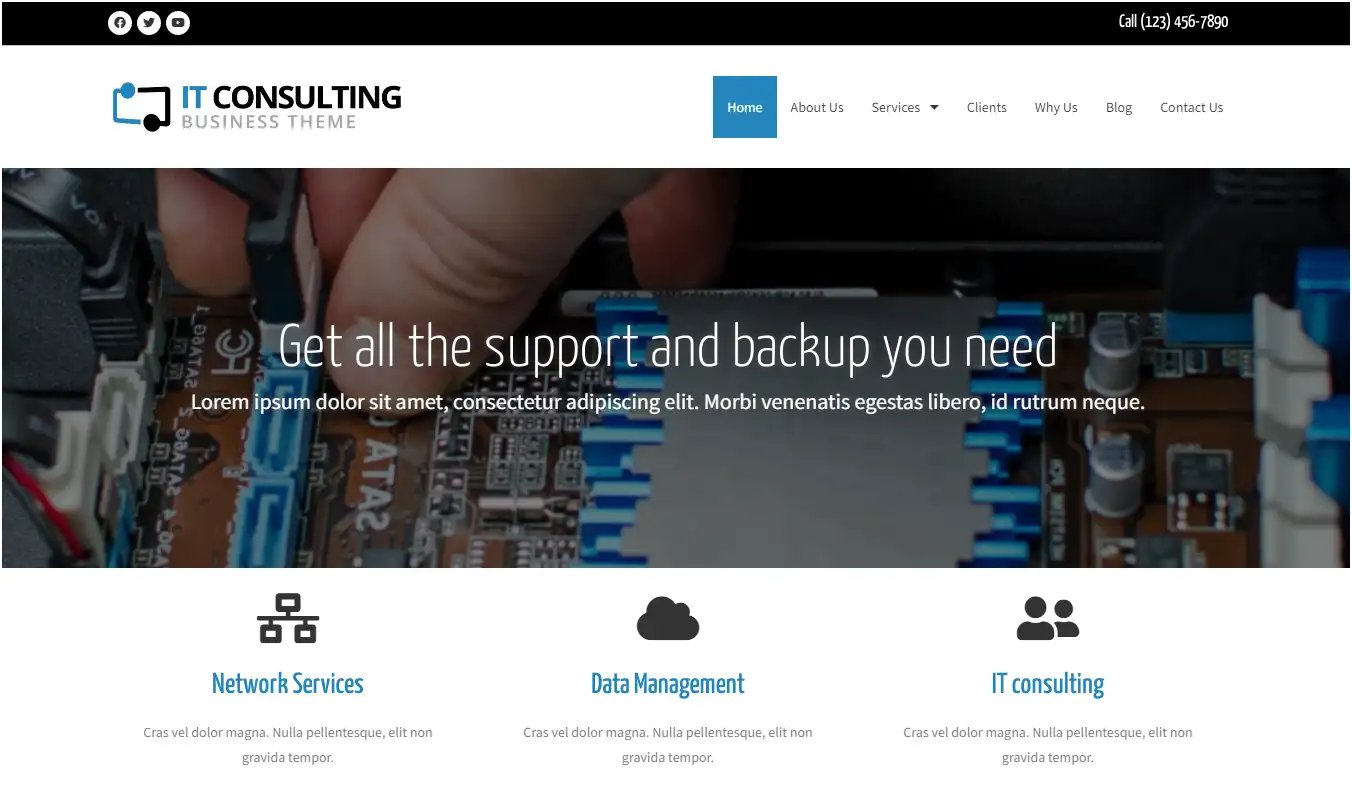 IT-Consulting