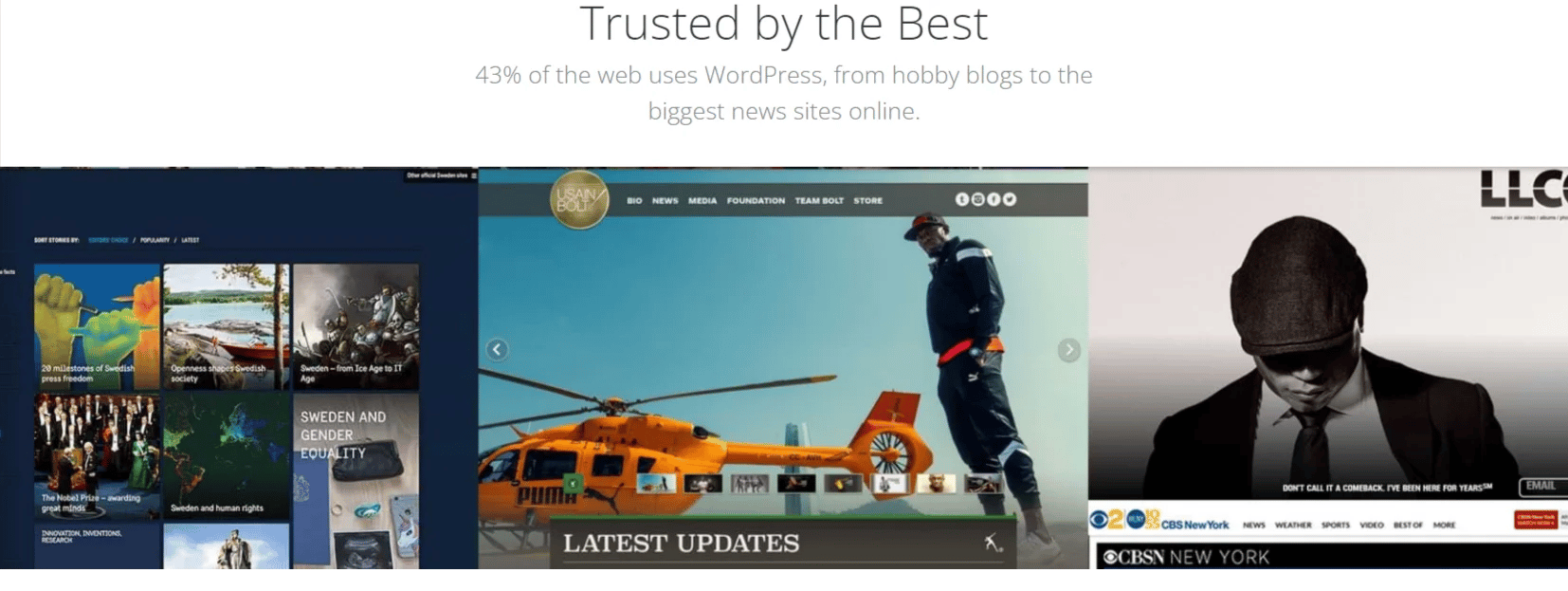 wordpress6