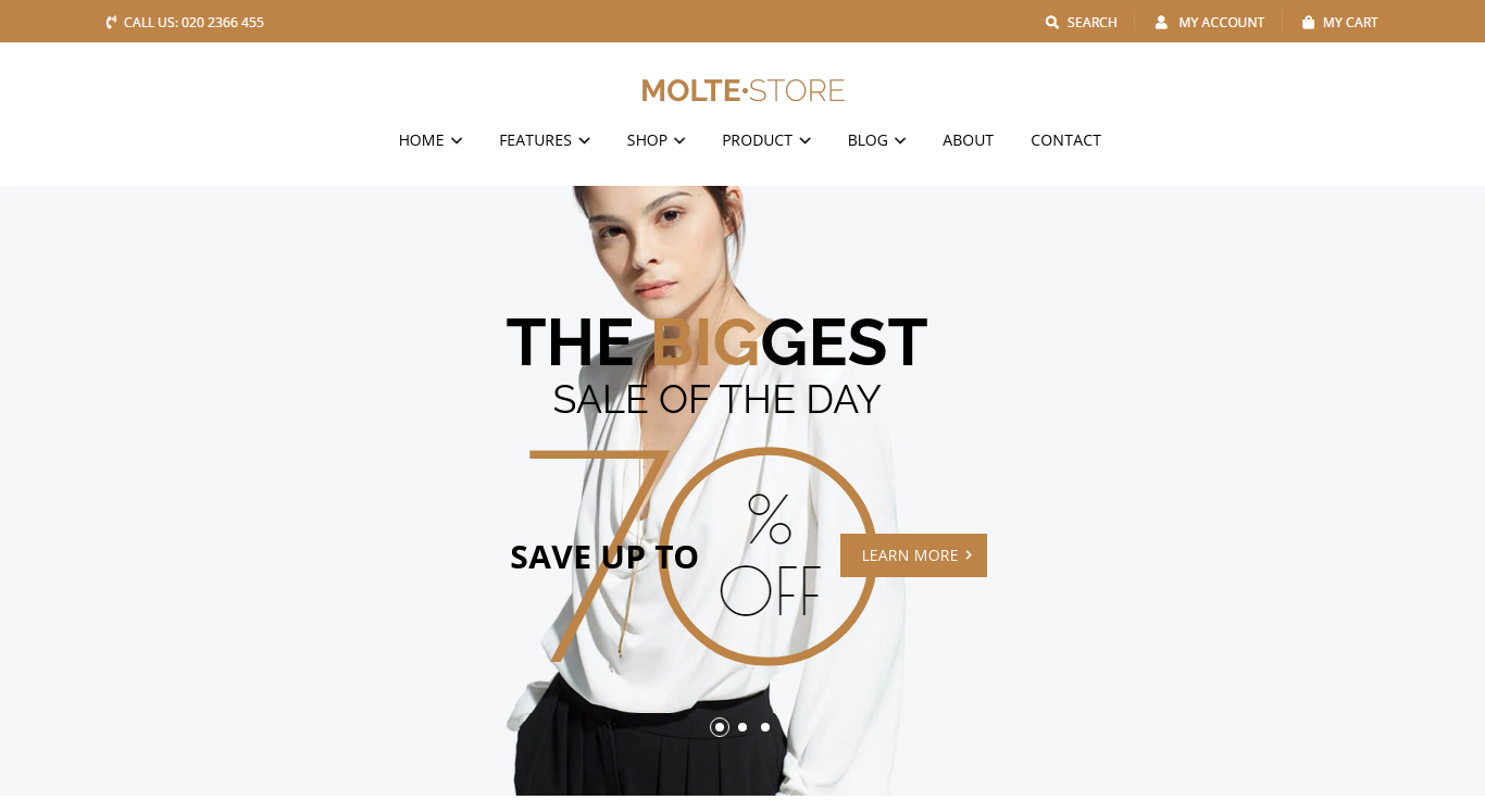 Best-Premium-Shopify-Themes-MolteStore